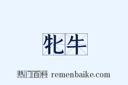 牝牛是什么意思的图片